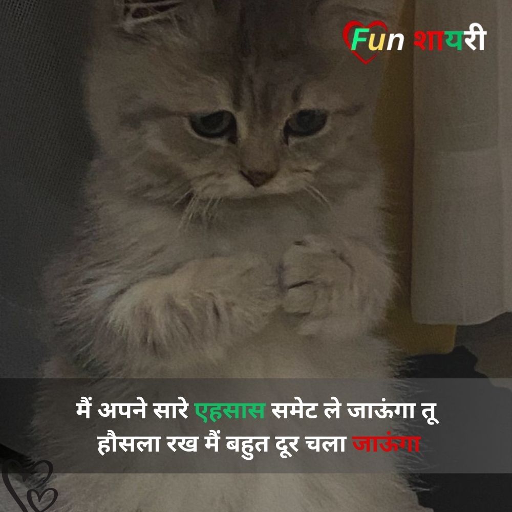 zindagi se nafrat shayari